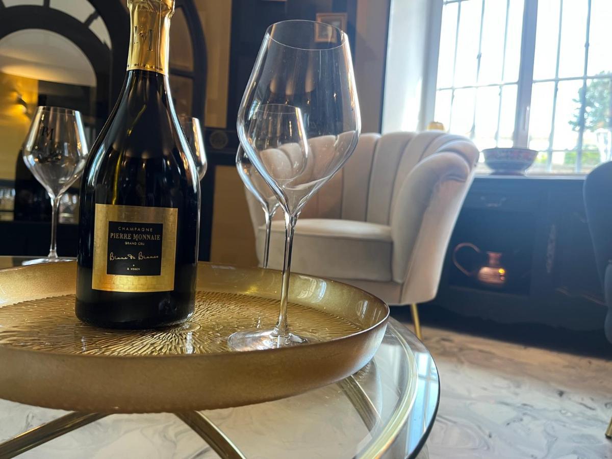 Domaine Pierre Monnaie Villa Verzy Luaran gambar